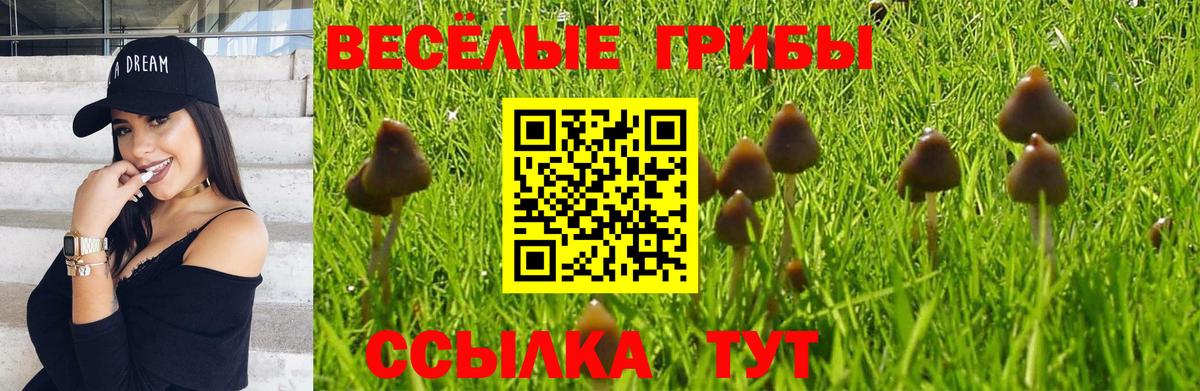 Галлюциногенные грибы MAGIC MUSHROOMS  Вход с VPN  Ликино-Дулёво  Галлюциногенные грибы мухоморы 